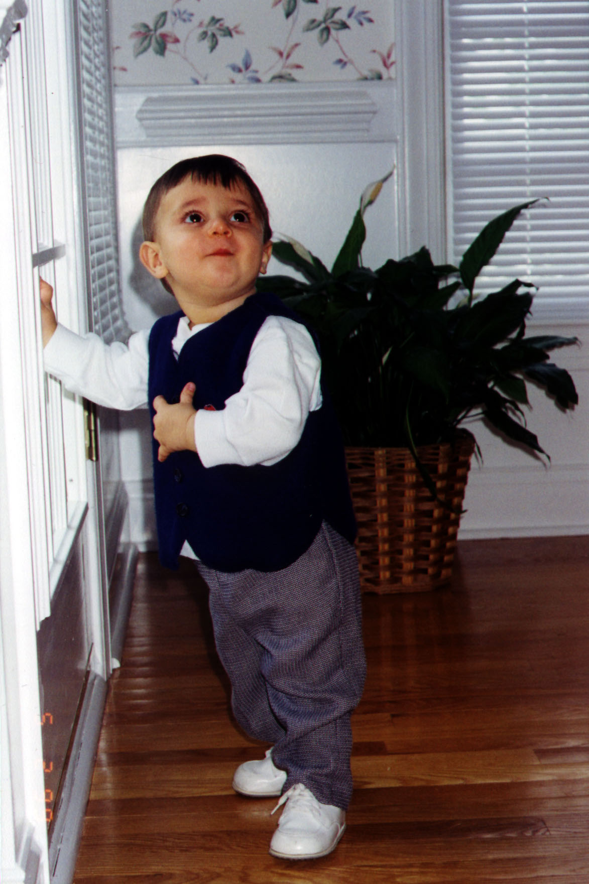 Untitled-3.jpg (254425 bytes)